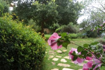 תמונות גן במושב עופר – משק הר הפרחים